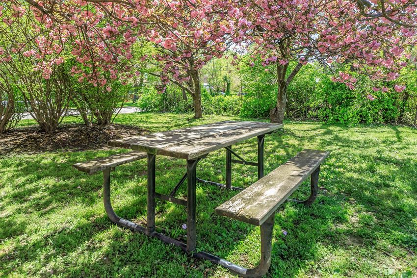 Poplar Village Apartments, 1414 Poplar Ave., Murfreesboro, TN RentCafe